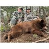 Image 1 : HEAVEN'S GATE OUTFITTERS: 5 day 1x1 Black Bear Hunt for 2 Hunters in Idaho