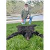 Image 2 : HEAVEN'S GATE OUTFITTERS: 5 day 1x1 Black Bear Hunt for 2 Hunters in Idaho