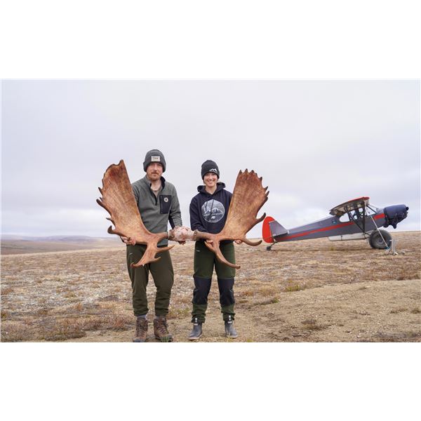 1 x 1, 7-Day Moose Hunt