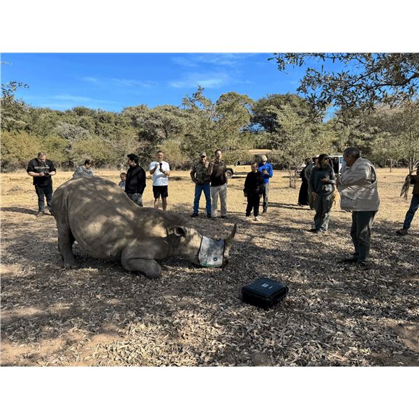 6-Day South African Conservation Tour Rhino Reproduction