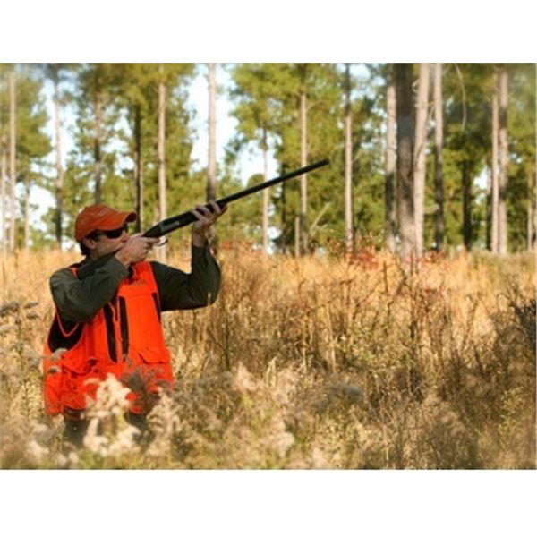 BEAVER CREEK PLANTATIONI: One Day Quail Hunt for 2 Hunters