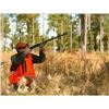 Image 1 : BEAVER CREEK PLANTATIONI: One Day Quail Hunt for 2 Hunters
