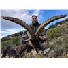 Image 2 : LA ESPADELLA:  4 Day/3 Night Beceite Ibex Hunt for One Hunter and One Observer or Hunt Credit
