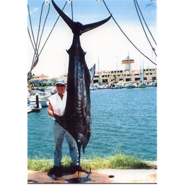 LAD SHUNNESON ADVENTURES: 6 day Mexico Fishing Package for One Fisherman