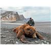 Image 1 : PROFIHUNT:  8 Day Kamchatka Brown Bear Hunt for One Hunter in Russia