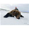 Image 2 : PROFIHUNT:  8 Day Kamchatka Brown Bear Hunt for One Hunter in Russia