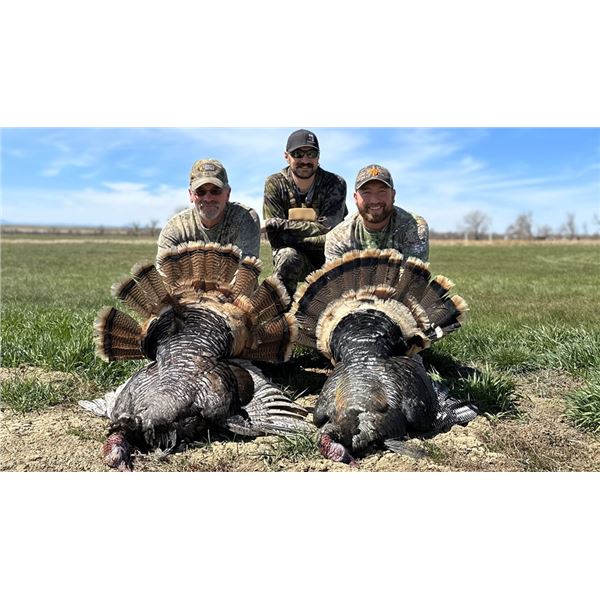 CHARGE ADVENTURES:  3 Day South Dakota Merriams Turkey Hunt for One Hunter