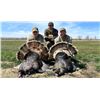 Image 1 : CHARGE ADVENTURES:  3 Day South Dakota Merriams Turkey Hunt for One Hunter