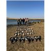Image 2 : UMDENDE SAFARIS:  South Africa Dove/Pigeon and Waterfowl Hunting for 2 Hunters 6 day/7 nights