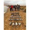 Image 3 : UMDENDE SAFARIS:  South Africa Dove/Pigeon and Waterfowl Hunting for 2 Hunters 6 day/7 nights