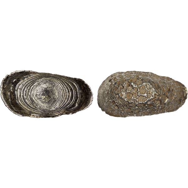 CHINA: AR sycee (13.18g), Choice VF