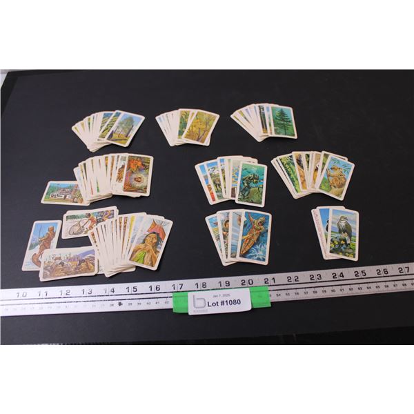 (100+) Red Rose Tea Collector Cards: Native American, North American Birds, North American Nature