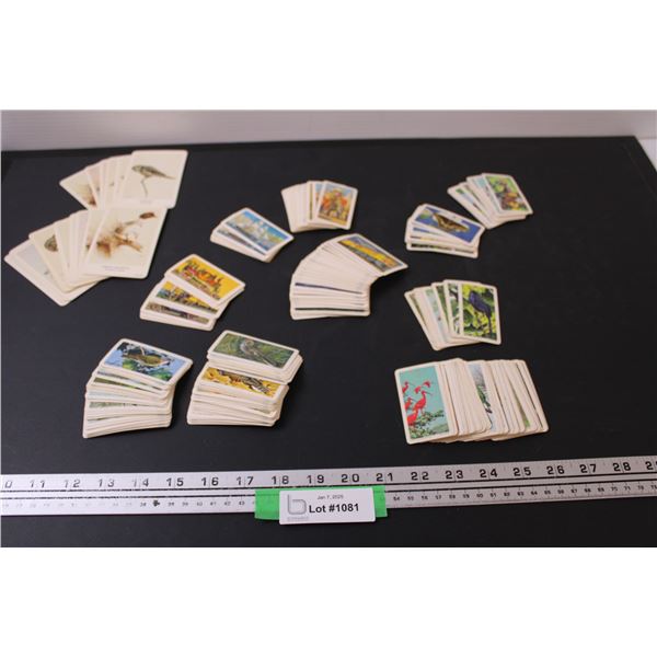 (100+) Red Rose Tea Collector Cards: Native American Birds, Tropical Birds, Transportation & (15) Ge