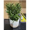 Image 2 : Bouclair Decorative Potted Plant (2ct)