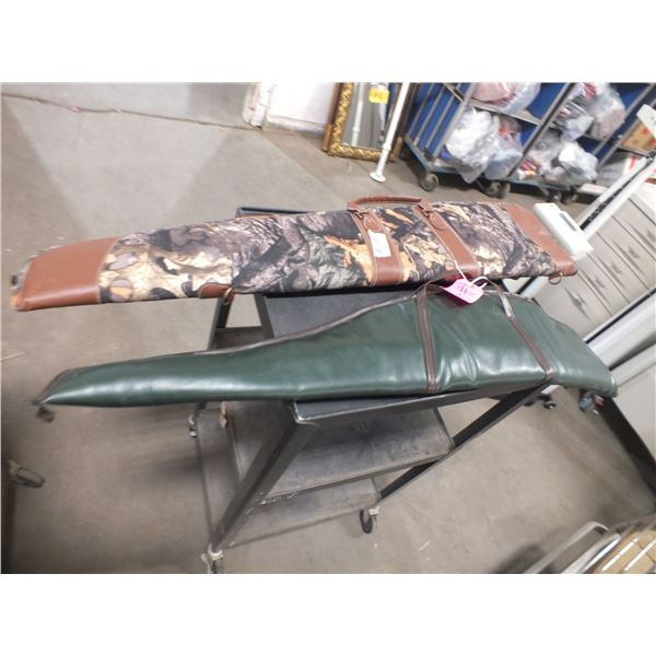 2 Gun Case's