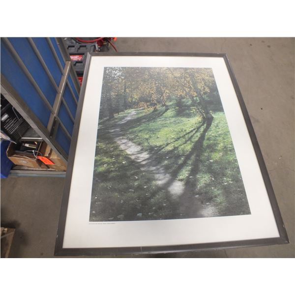 20 Assorted Pictures