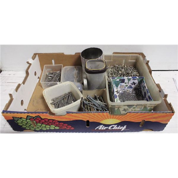 FLAT OF NAILS AND SCREWS