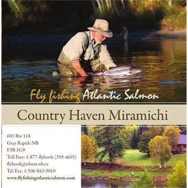 1 Day Salmon Fishing for 2 Anglers