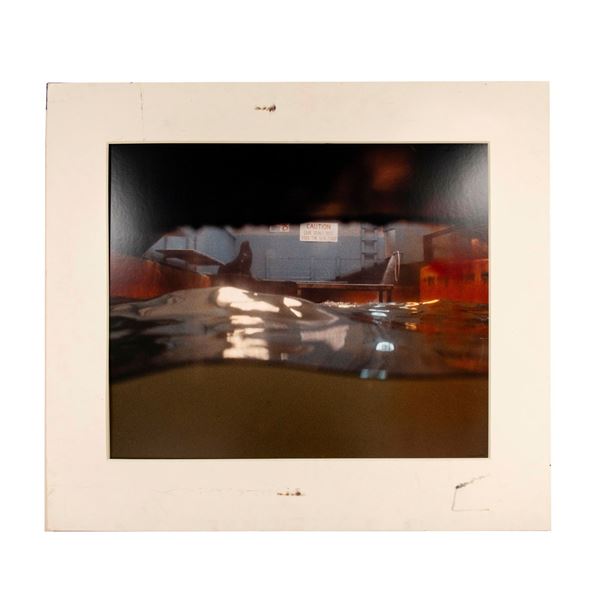 Cynthia Guest, Large Original Color Photograph, Signed