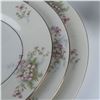 Image 6 : 21pc Theodore Haviland New York China Set, Apple Blossom