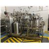 Image 2 : W.H.E. Bio Systems Inc. 500L Industrial Stainless Steel Fermenter skid - Working - (144x53x122" Appr