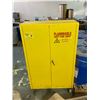 Image 2 : Flammable Hazardous Materials Storage cabinet + contents - (43x19x65")
