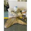 Image 1 : Pallet - KAM Dextrose, Sodium Molybdate Crystalline & rags