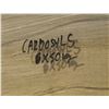 Image 3 : Pallet - 6 carboys - Corbosyl S bio cleaning compound