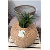 Image 1 : Group - Wooden crates, wicker baskets & natural seagrass vase