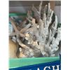 Image 2 : Group - Misc. seaside / lakeside beach décor including seashells, beach/lake cast iron plaques, cora