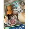 Image 3 : Group - Misc. seaside / lakeside beach décor including seashells, beach/lake cast iron plaques, cora
