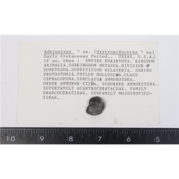 ADKINSITES-SEE PHOTO FOR DETAILS