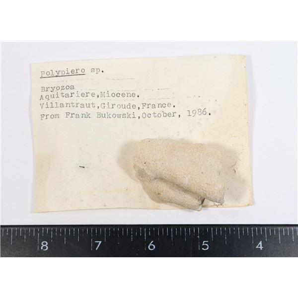 POLYPIERO-SEE PHOTO FOR DETAILS