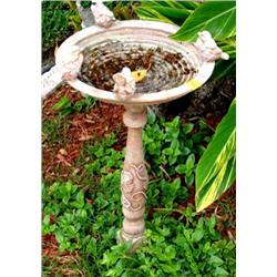 Bird Bath