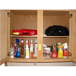 Contents of Cabinet/Dirt Devil Vac