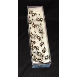 Costume Necklace/Earring Set