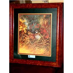 Framed Quail Picture by Jamie Carter