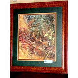 Framed Quail Picture by Jamie Carter