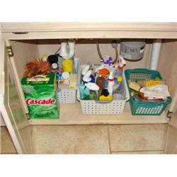 Contents Under Sink