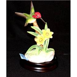 Costas Humming Bird by Andrea