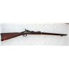 Image 1 : US Springfield 45-70 Rifle #22082