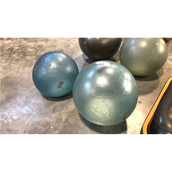 3 FITNESS BALLS