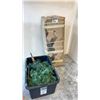 Image 1 : 2 ARTIFICIAL CHRISTMAS TREES