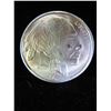Image 1 : 20 Uncirculated 1 OZ Indian Head/Buffalo Silver Rounds