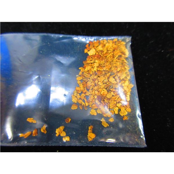 1/4 OZ Alaskan Placer Gold
