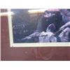 Image 2 : Signed Tim Cox Hereford Print- 29.5" X 25.5