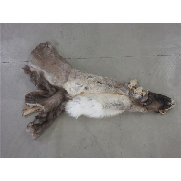 Tanned Caribou Cape