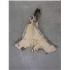 Image 2 : Tanned Caribou Cape