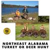 Image 6 : 3-Day Northeast Alabama Turkey or Deer Hunt for Two (2)