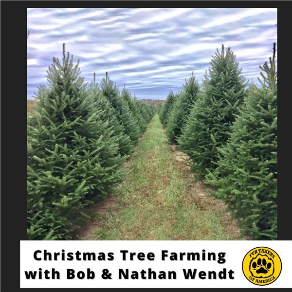 Christmas Tree Farming with Bob & Nathan Wendt